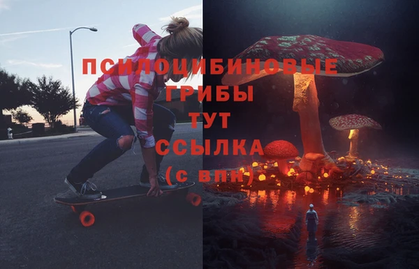 ECSTASY Заволжье