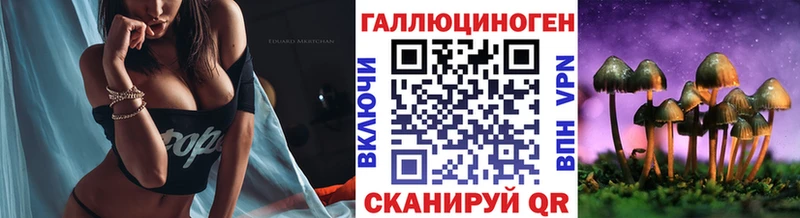 Купить где  Муравленко  Псилоцибиновые грибы мицелий 